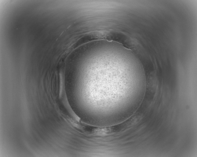 X0000066940131200603271147