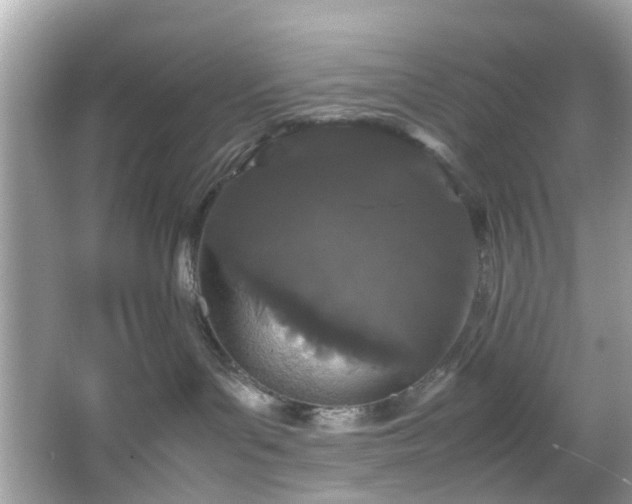 X0000066940143200603271146