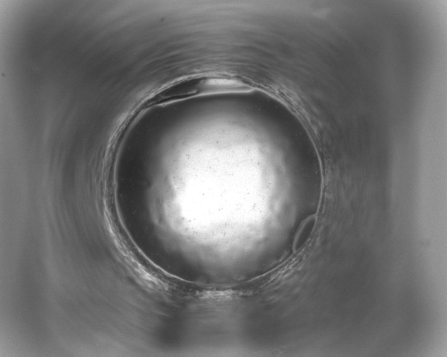 X0000066940145200603271146