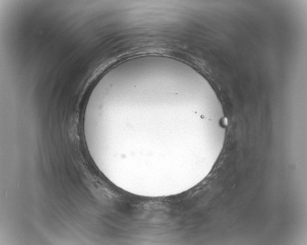 X0000066940146200603271146