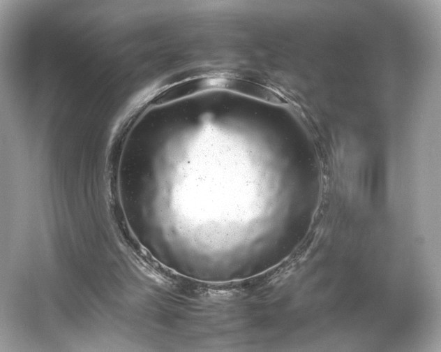 X0000066940149200603271146