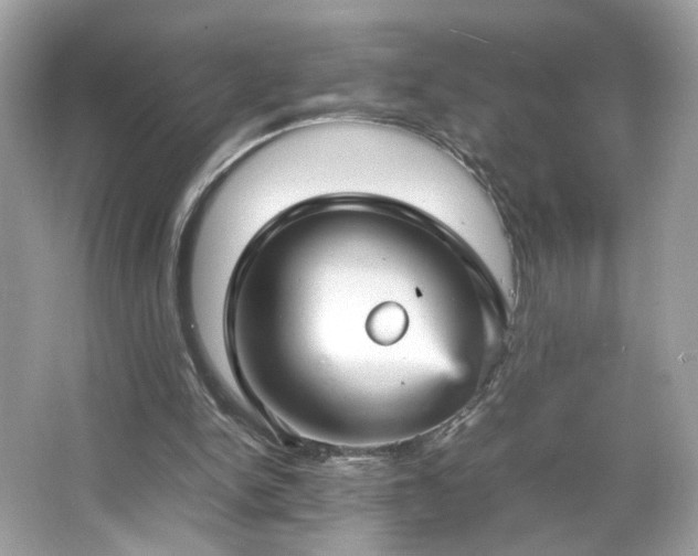 X0000066940150200603271146