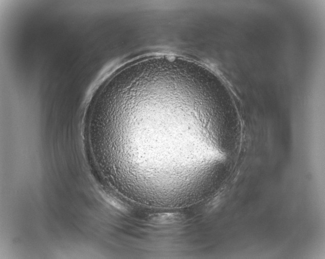 X0000066940151200603271146