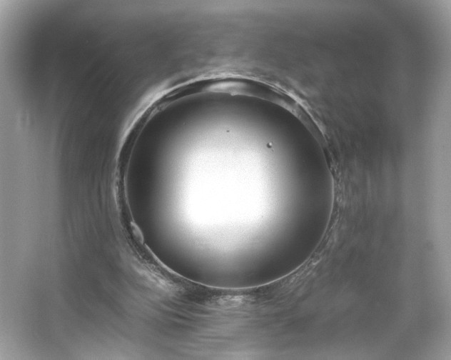 X0000066940152200603271146