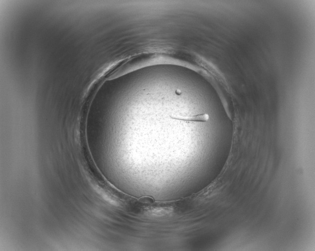 X0000066940155200603271146