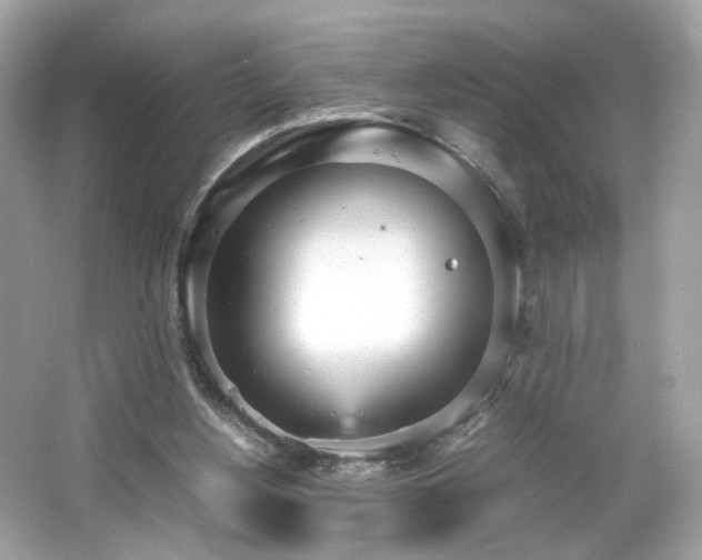 X0000066940156200603271146