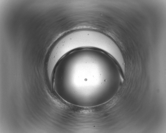 X0000066940160200603271146