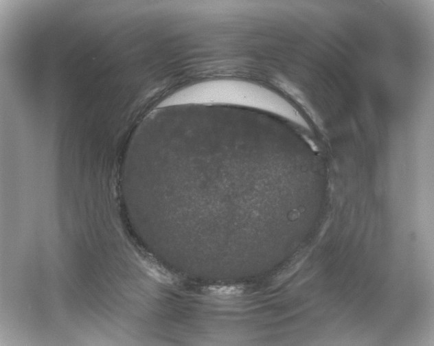 X0000066940161200603271146