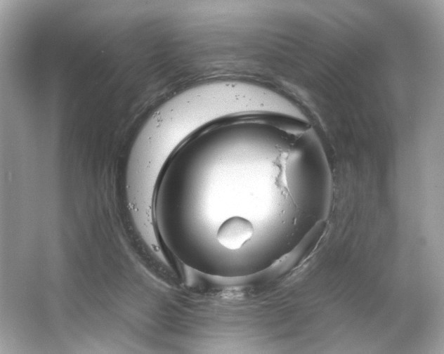 X0000066940162200603271146