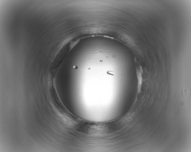 X0000066940164200603271146