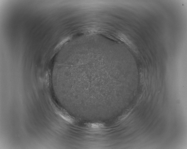 X0000066940165200603271146