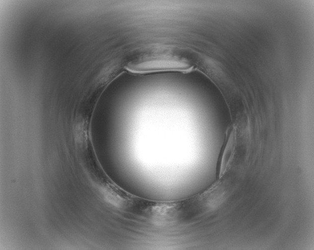 X0000066940172200603271146