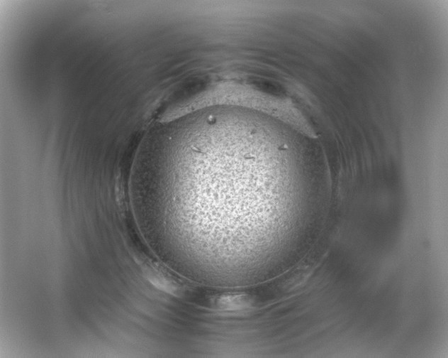 X0000066940173200603271146