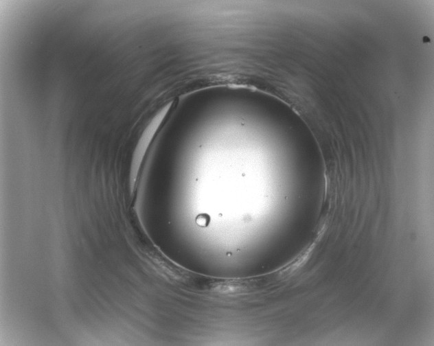 X0000066940174200603271146