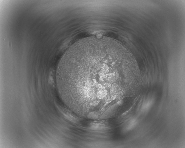 X0000066940175200603271146