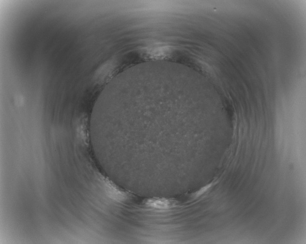 X0000066940181200603271146