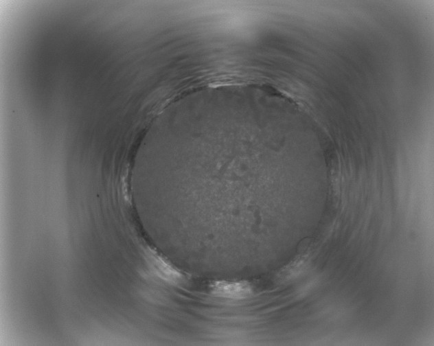 X0000066940185200603271146