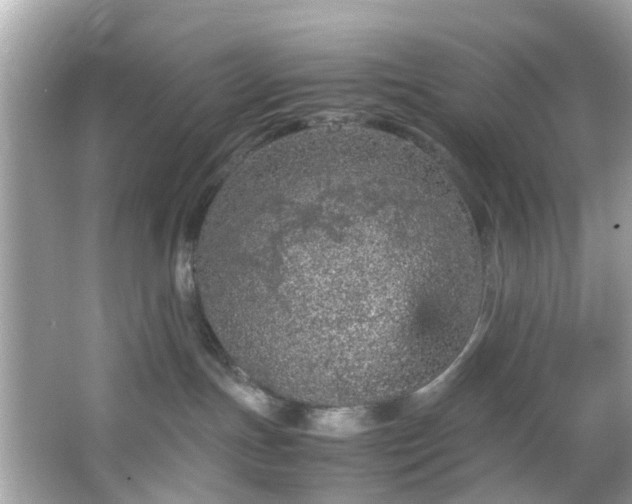 X0000066940191200603271146