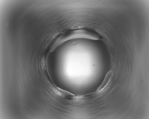 X0000066940192200603271146