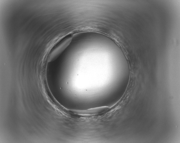 X0000066940193200603271146