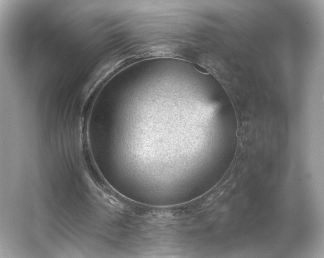 X0000066940194200603271146