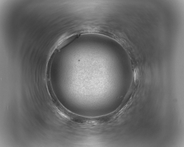 X0000066940195200603271146