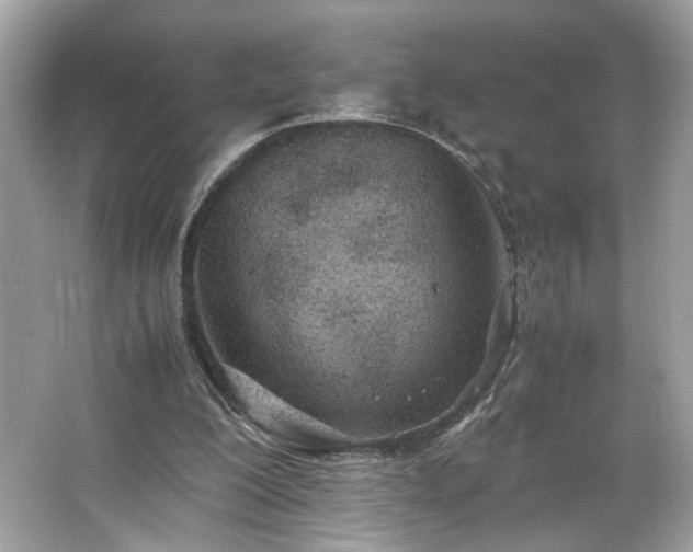 X0000066940200200603271145