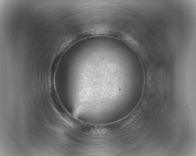 X0000066940202200603271145