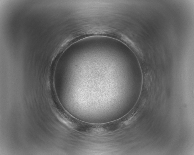 X0000066940203200603271145