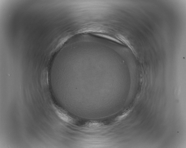 X0000066940205200603271145