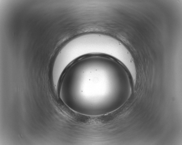 X0000066940207200603271145