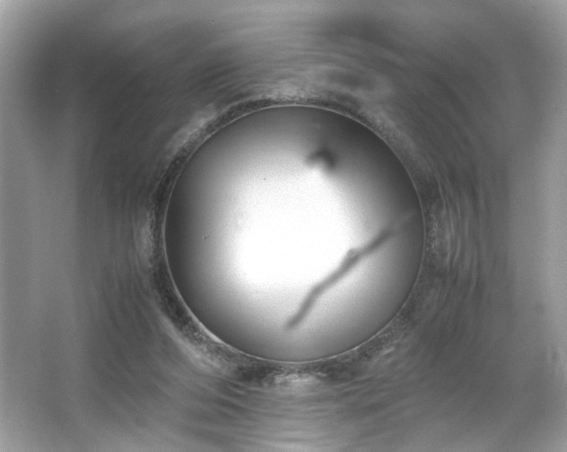 X0000066940208200603271145