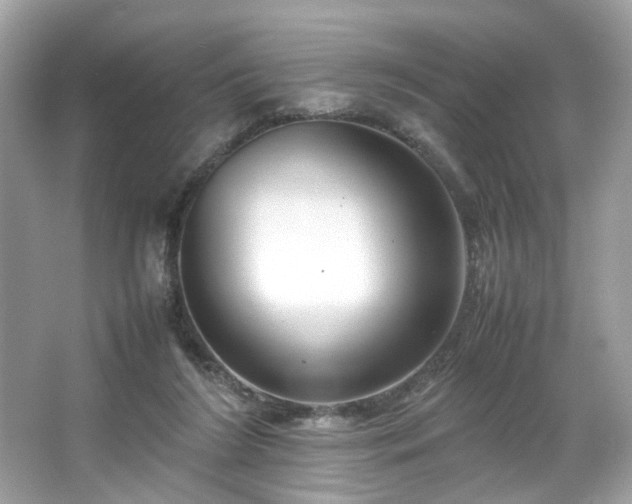 X0000066940212200603271145