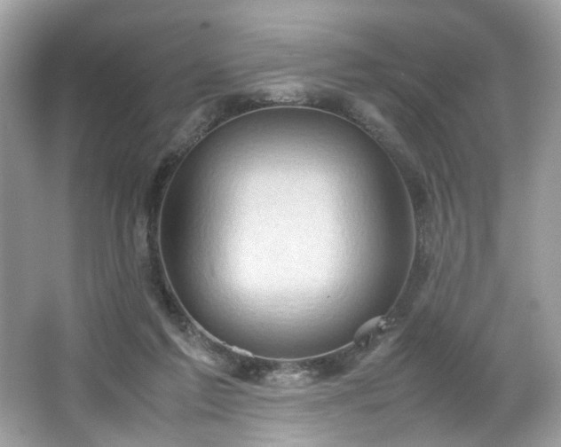 X0000066940213200603271145