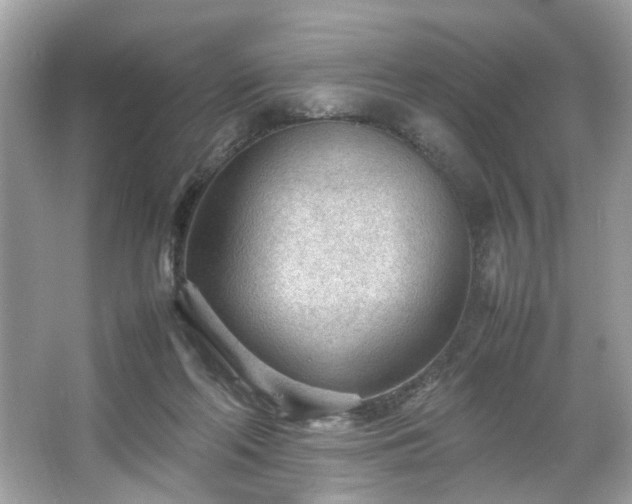 X0000066940214200603271145