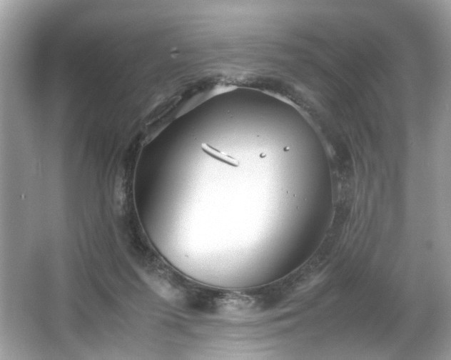 X0000066940215200603271145