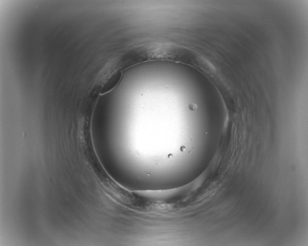 X0000066940217200603271145