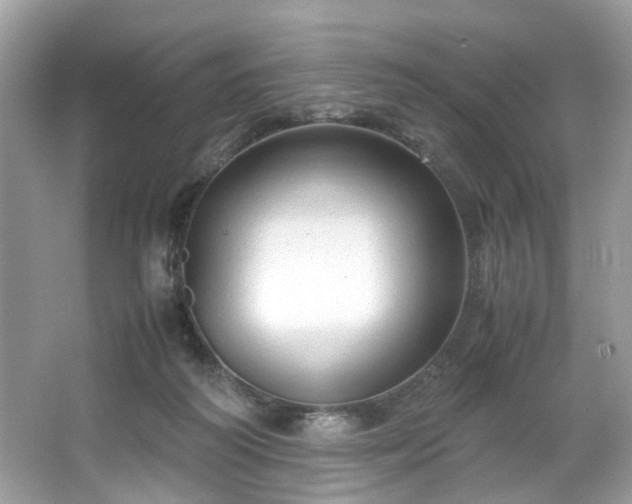 X0000066940218200603271145