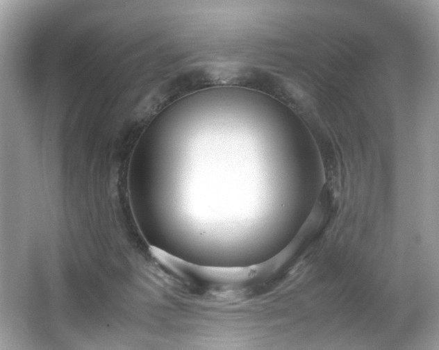 X0000066940221200603271145