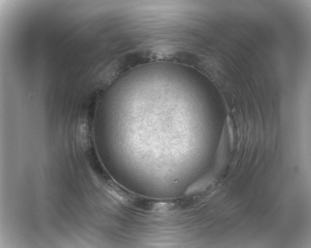 X0000066940222200603271145