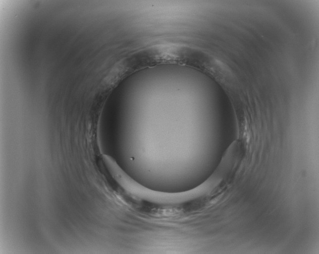 X0000066940223200603271145