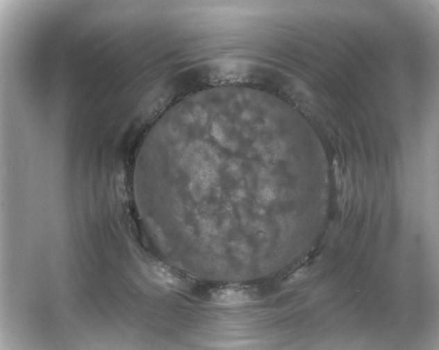 X0000066940224200603271145