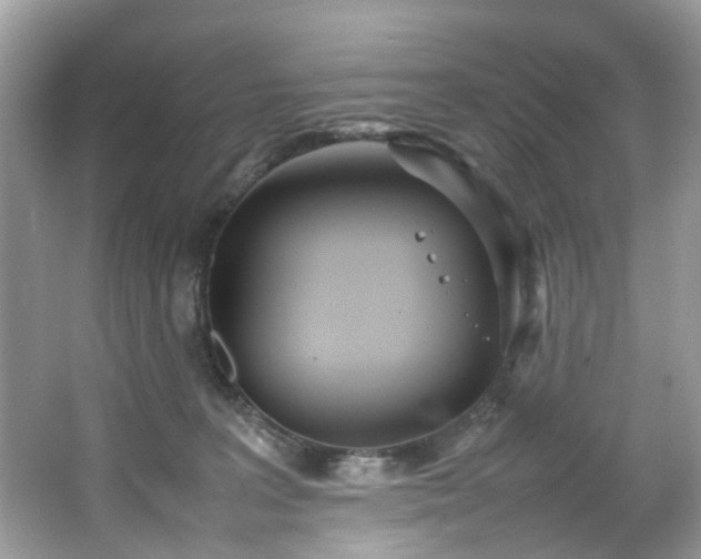 X0000066940227200603271145