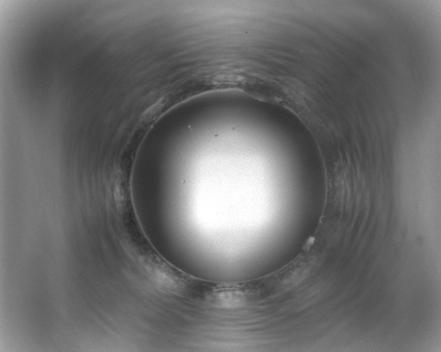 X0000066940228200603271145