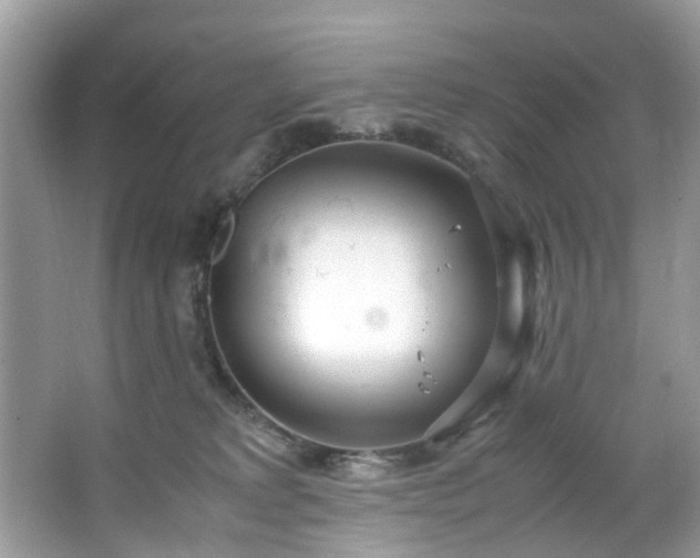 X0000066940229200603271145