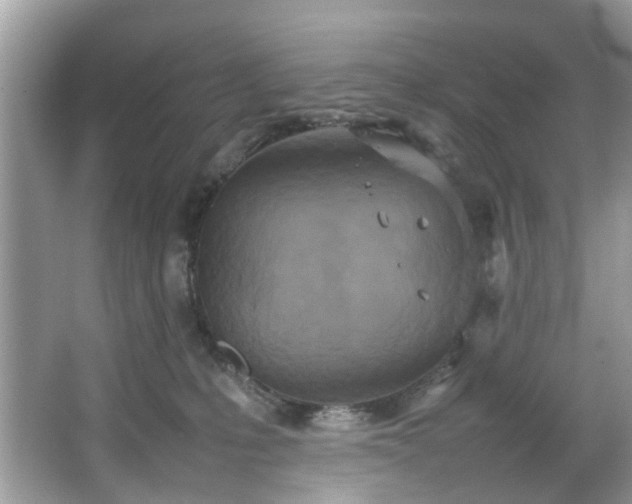 X0000066940231200603271145