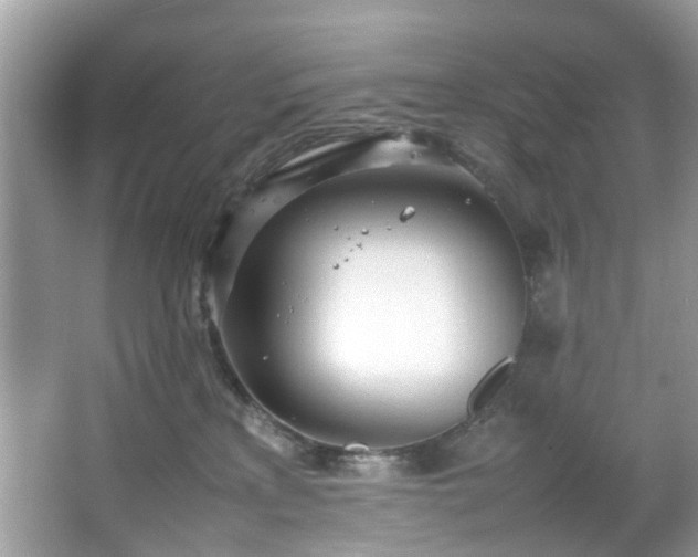 X0000066940233200603271145