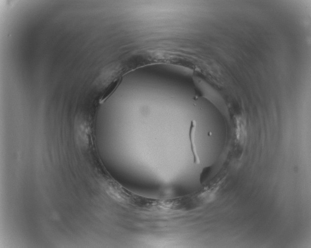 X0000066940235200603271145