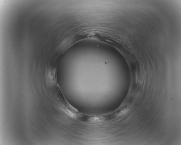 X0000066940239200603271145