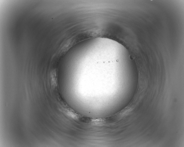 X0000066940240200603271145